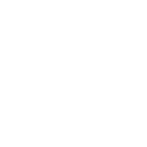 SEO Content & Blog Strategy